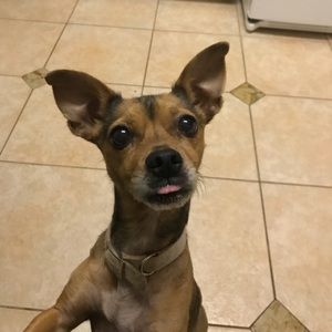 Meet your Posher, Beth